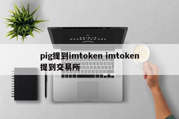 pig提到imtoken imtoken提到交易所介绍