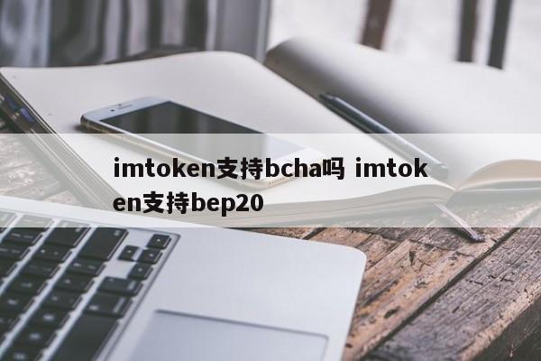 imtoken支持bcha吗?imtoken支持bep20介绍