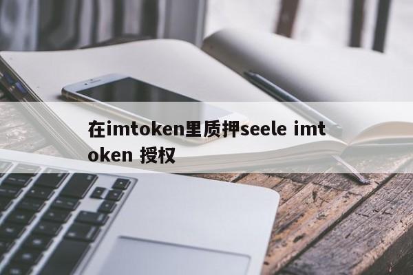 在 imtoken 中质押 Seele imtoken 授权