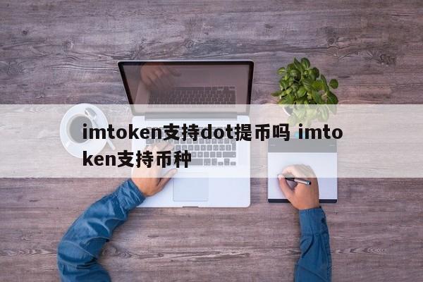 imtoken 支持 dot 提现吗？imtoken 支持哪些币种？