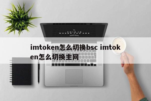 我如何从 imtoken 切换到 bsc？我如何从 imtoken 切换到主网？