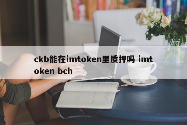 ckb 可以在 imtoken 中质押吗？imtoken bch