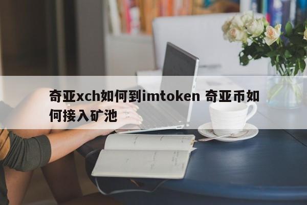 如何将 Chia XCH 兑换成 imtoken 如何将 Chia 币接入矿池